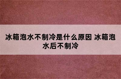 冰箱泡水不制冷是什么原因 冰箱泡水后不制冷